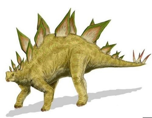 恐龙种类名字图片大全