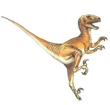 恐龙种类名字图片大全
