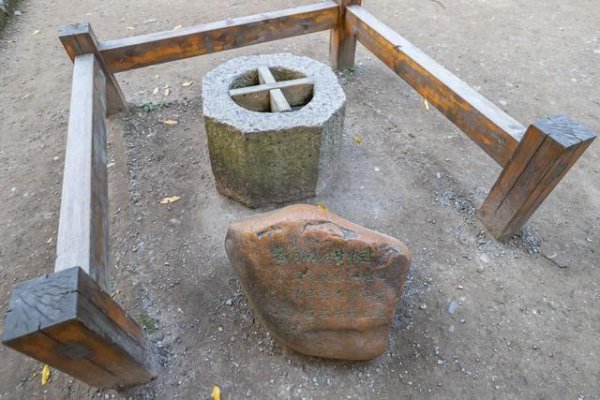 鲁迅笔下的三味书屋在哪里