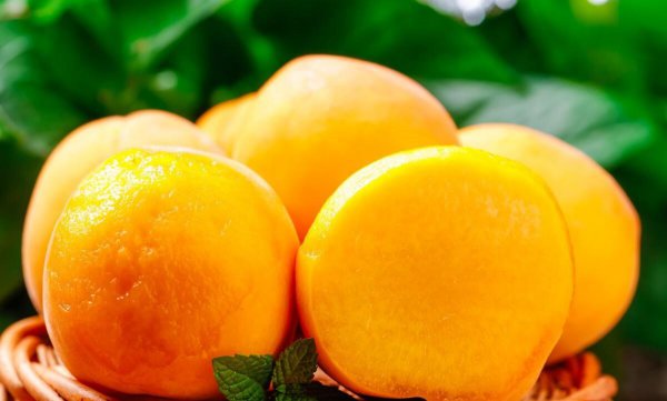 目前全国最好的桃品种