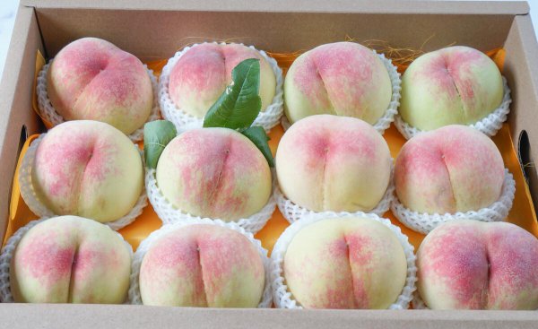 目前全国最好的桃品种