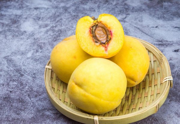 目前全国最好的桃品种