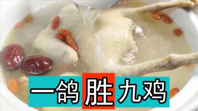 乳鸽煲汤用什么材料 秋冬鸽子汤怎么炖好喝又营养