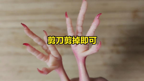 乳鸽煲汤用什么材料