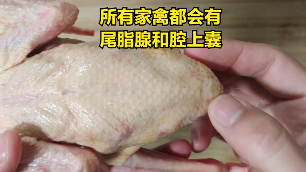 乳鸽煲汤用什么材料