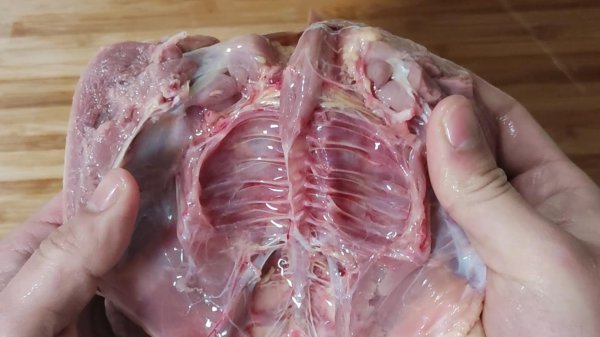 乳鸽煲汤用什么材料