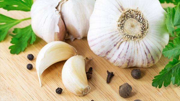 乳鸽煲汤用什么材料