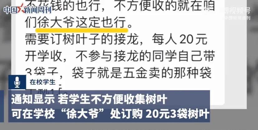 黑龙江一中学收学生20元树叶费
