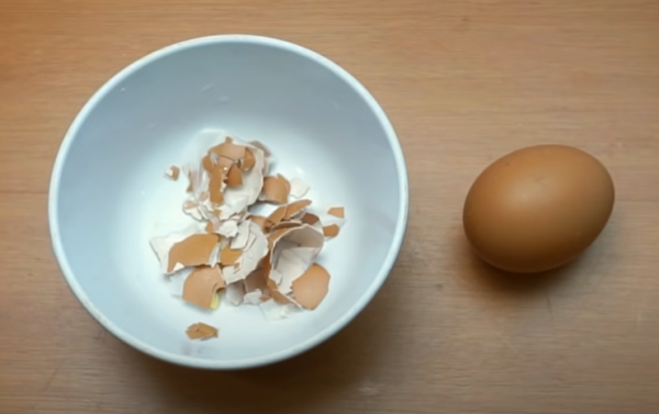 怎么最快把壁虎引出来