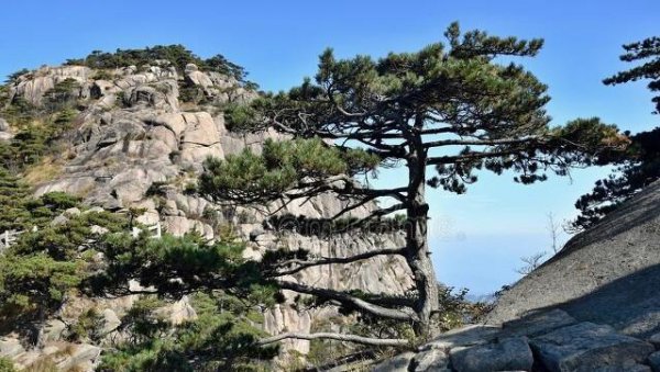 为什么会说黄山归来不看岳