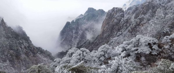 为什么会说黄山归来不看岳