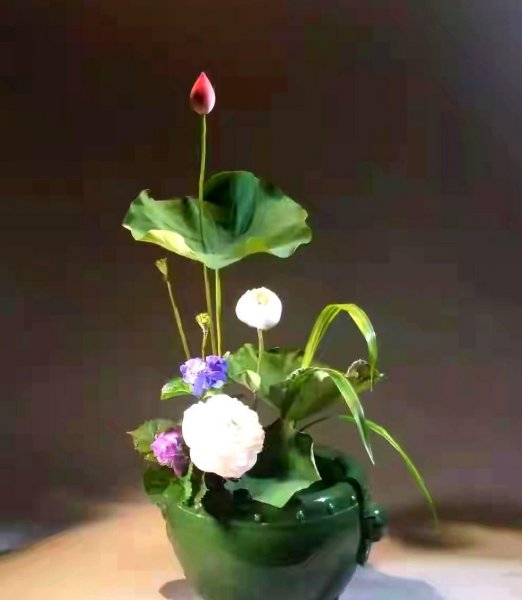 诗词小池写了哪些景物