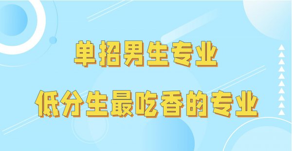 男孩子单招学什么专业比较好