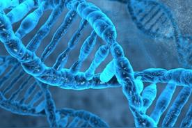 手机电脑芯片主要由什么物质组成