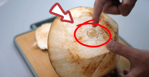 老椰子肉怎么弄出来