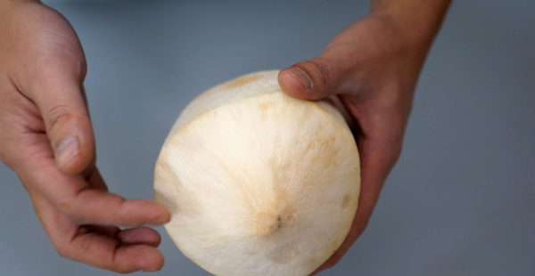 老椰子肉怎么弄出来