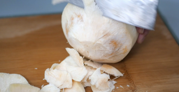 老椰子肉怎么弄出来