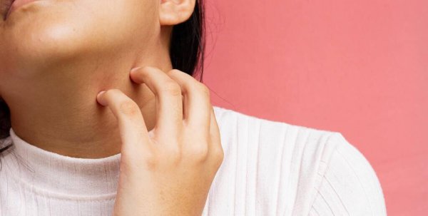 镍的用途主要用于什么