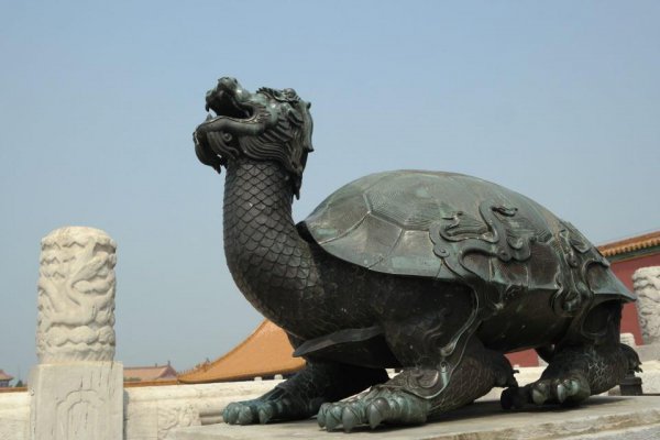 玄武是什么动物