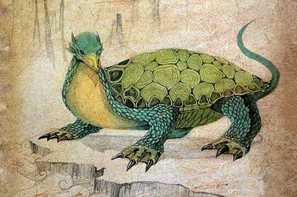 玄武是什么动物