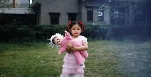 张含韵个人资料简介