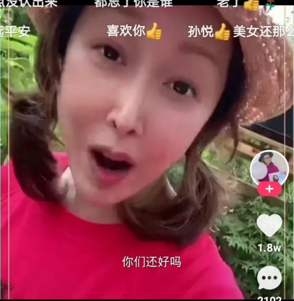 歌手孙悦个人资料简介及现状