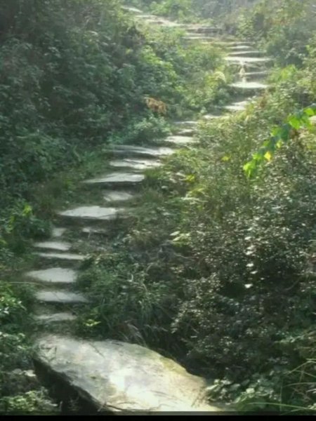 湖北监利县属于哪个市代管