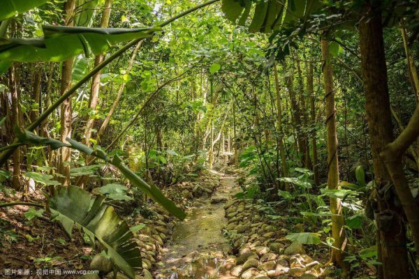 三亚属于哪个国家的城市
