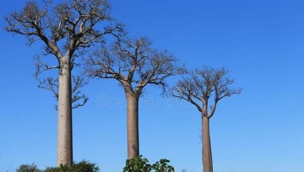 南非气候类型及特点