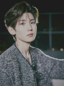 tfboys王源个人资料 歌手王源年少成名背后的喜与忧