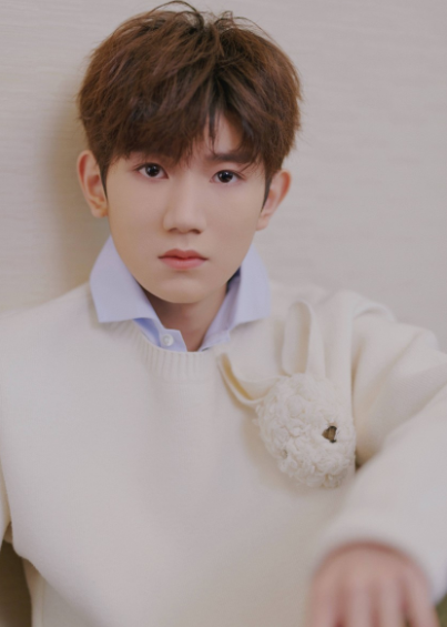 tfboys王源个人资料