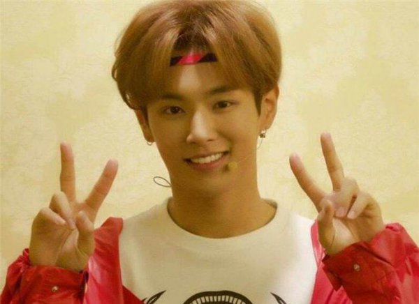 李汶翰的个人资料简介