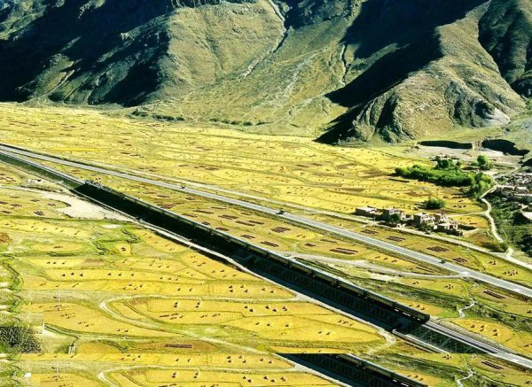 世界上通过永久冻土区最长的高原铁路是青藏铁路