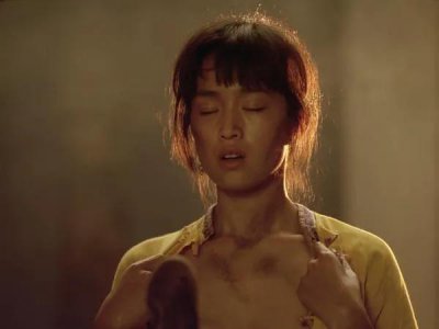 菊豆和天青是一部什么电视剧 电影菊豆讲了一个什么故事