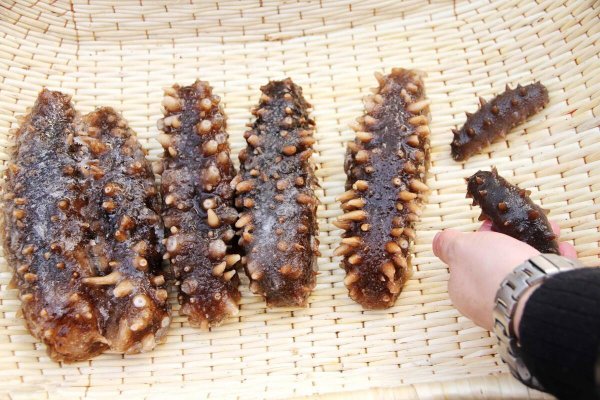 年货一般有什么东西