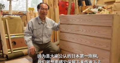 桐木是什么木材 为什么桐木在日本受欢迎