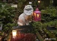 芬兰首都赫尔辛基的简介