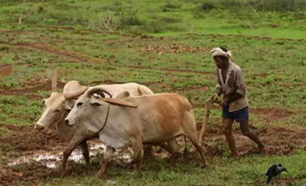 德孟工业走廊长度多少公里