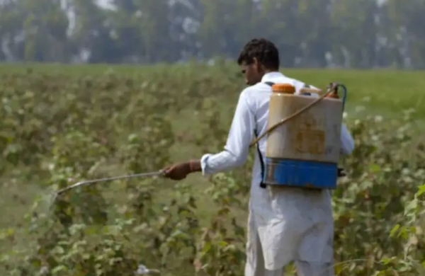 德孟工业走廊长度多少公里