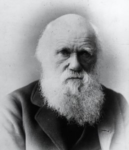 物种起源的作者是谁 物种起源这本巨著是如何被写出来的