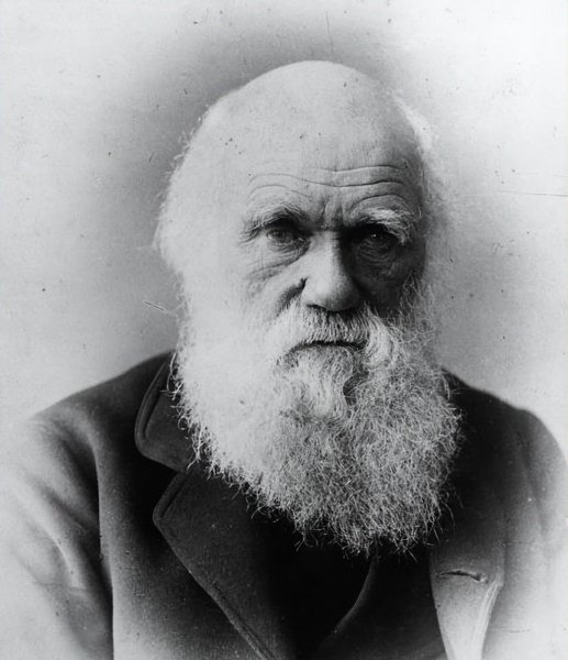 物种起源的作者是谁