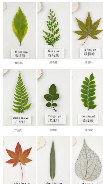 物种起源的作者是谁