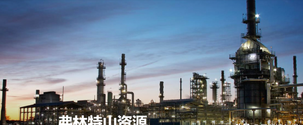 世界十大女首富排名