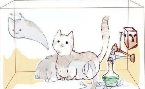 网络用语薛定谔是什么意思