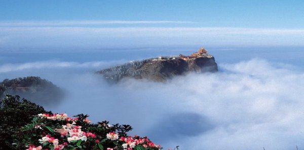 乐山市有几个区县