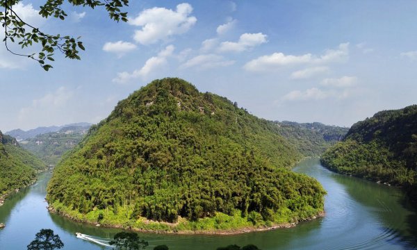 乐山市有几个区县