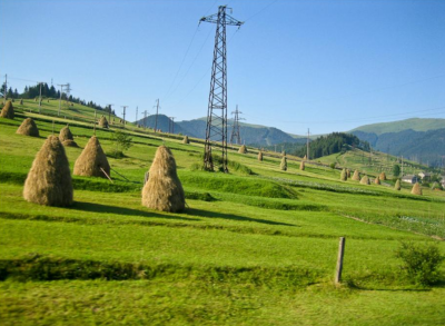 二毛是哪个国家的绰号 乌克兰为什么会被叫作二毛