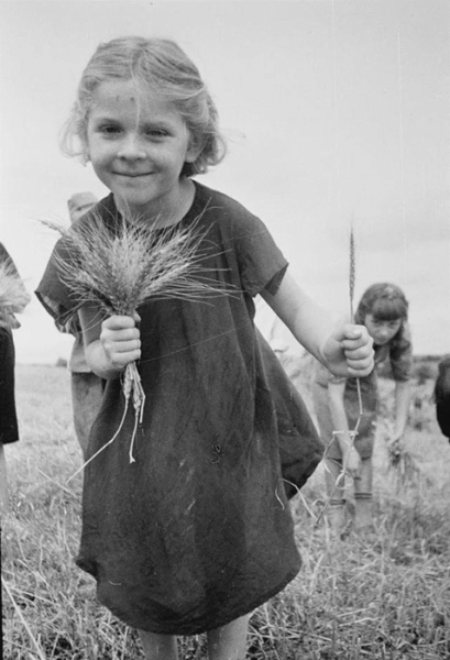 二毛是哪个国家的绰号