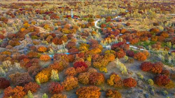 通辽市是哪个省份的