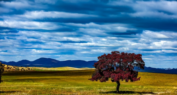 通辽市是哪个省份的